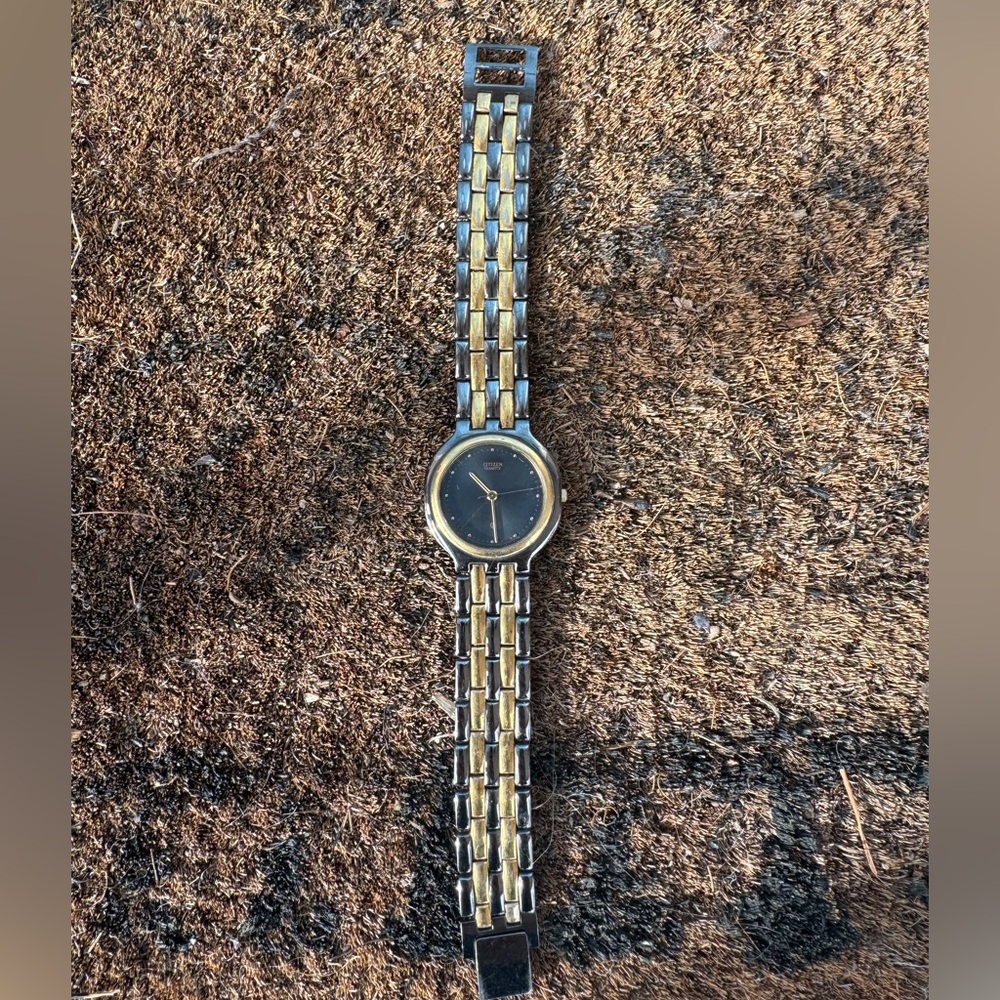 Citizen Two-Tone Metal Watch